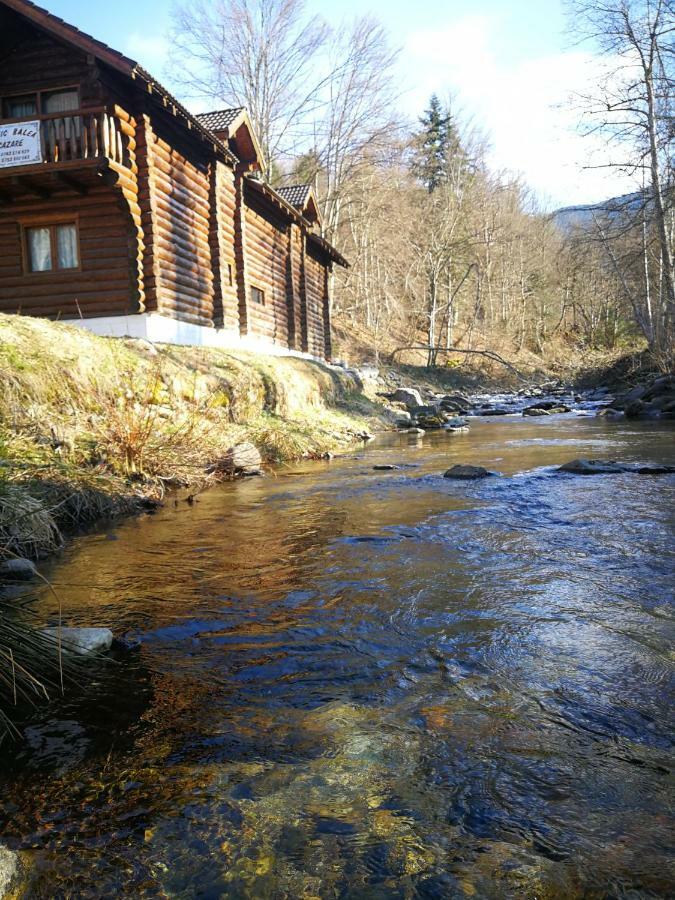 Cabana Rustic Balea Cîrţişoara Exterior foto